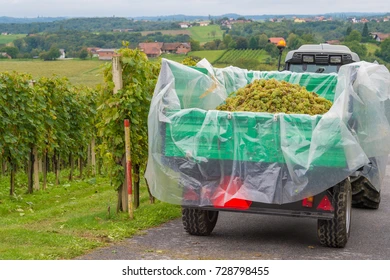 Watching a farmer lose his year’s work over a 0.1% miss in sugar content is a painful reminder of how fragile agriculture—and business—can be. From contract power imbalances to climate volatility, the modern wine industry is changing fast. Yet the core lesson holds true for everyone: diversify, prepare, and support those who grow what we love. Because sometimes, a single truckload of grapes can teach more about resilience and risk than a shelf full of textbooks.