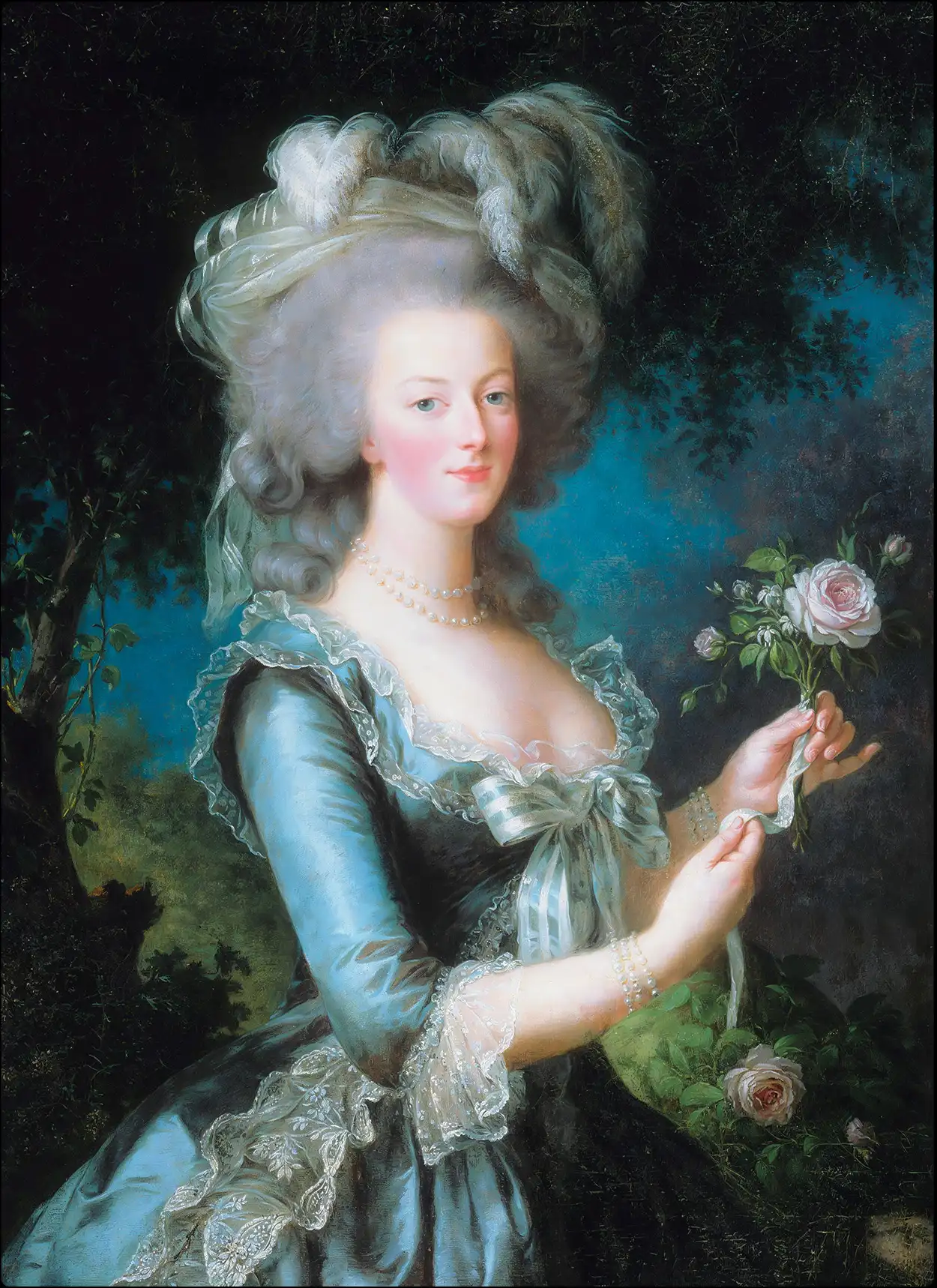 Marie Antoinette · ADN