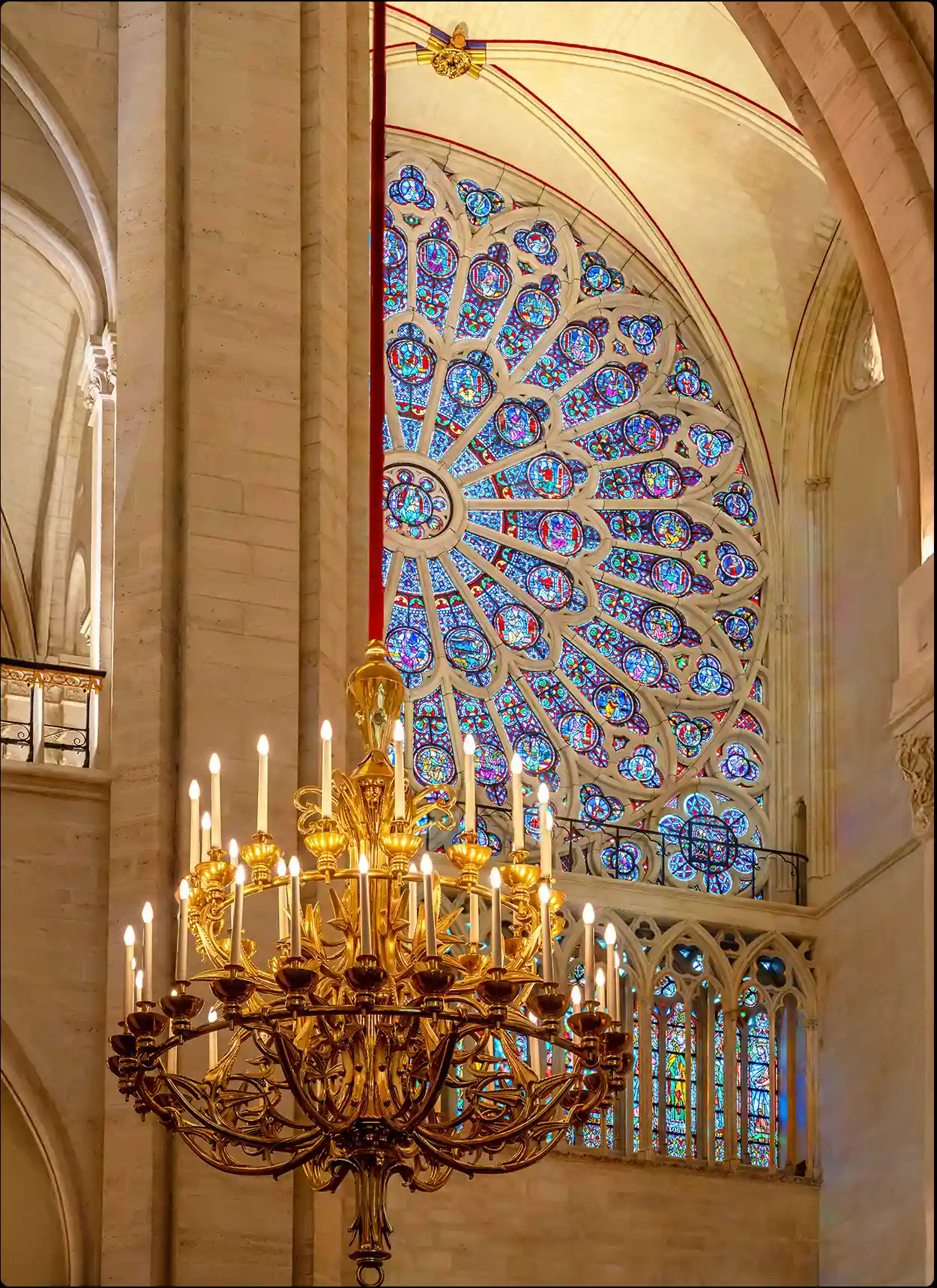 Notre-Dame de París · ADN