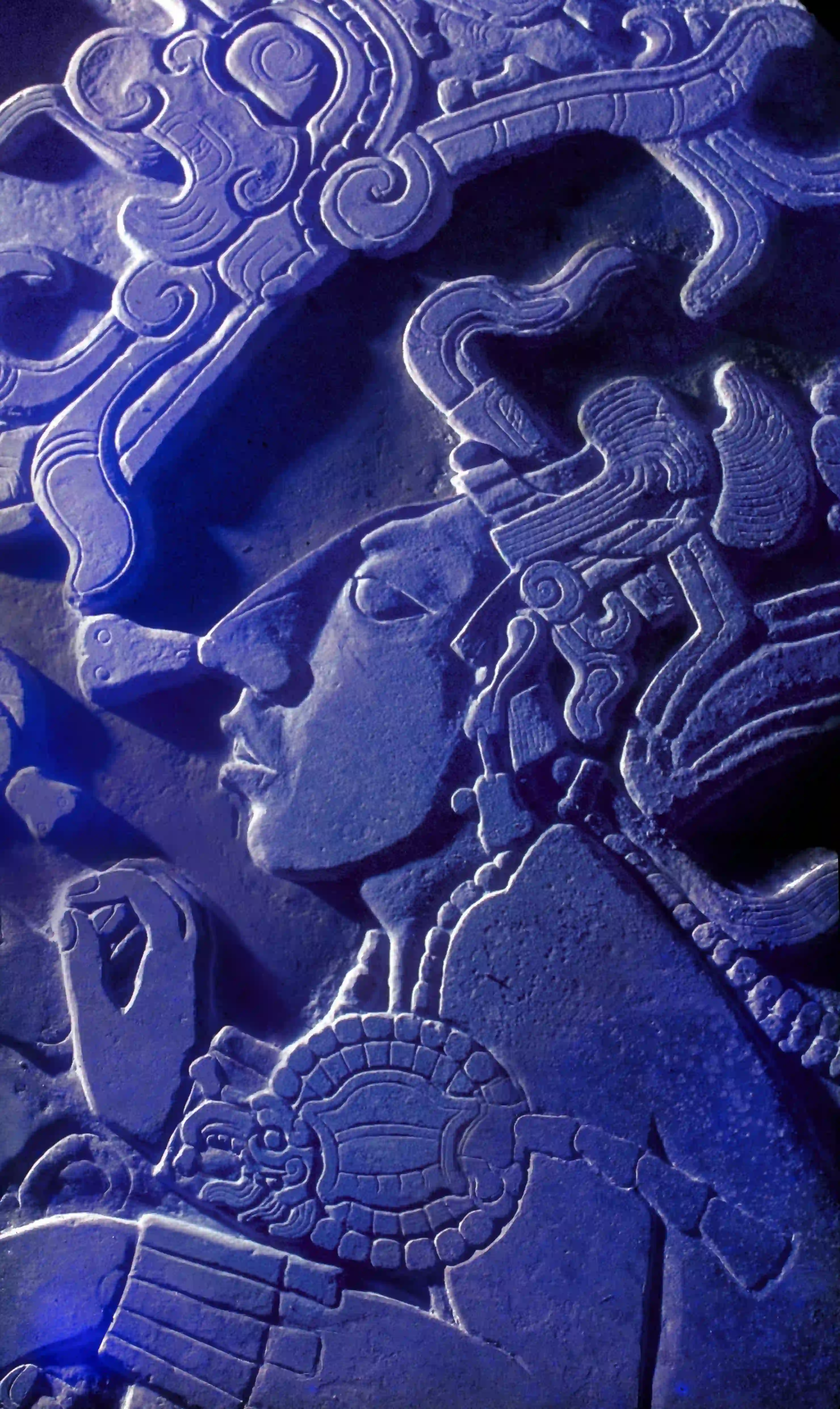 Mayas: La Dinastía De Pakal · ADN