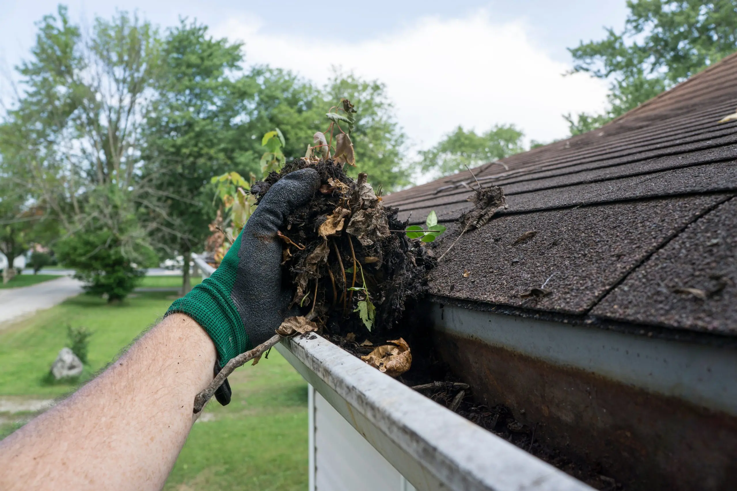 Clogged gutter filled with leaves and debris before cleaning