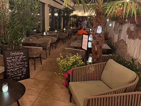 Gemütliche Terrasse mit Pflanzen, Palmbaum, Tischen und Stühlen in einem Café oder Restaurant.