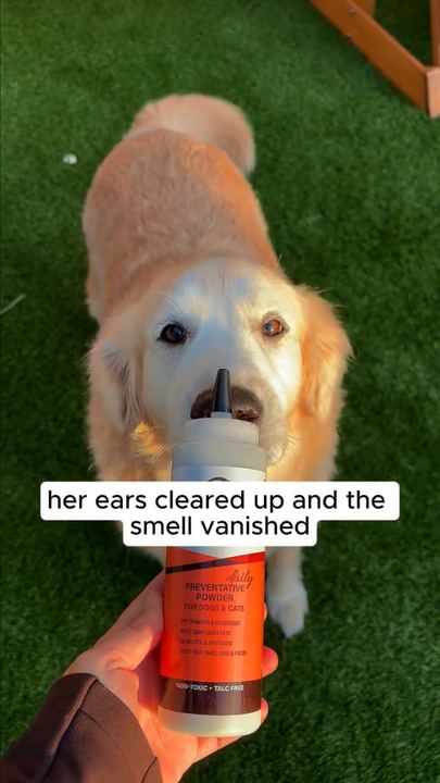 Video ad: a dog owner holding a pet powder beside a golden retriever, captioned her ears cleared up and the smell vanished