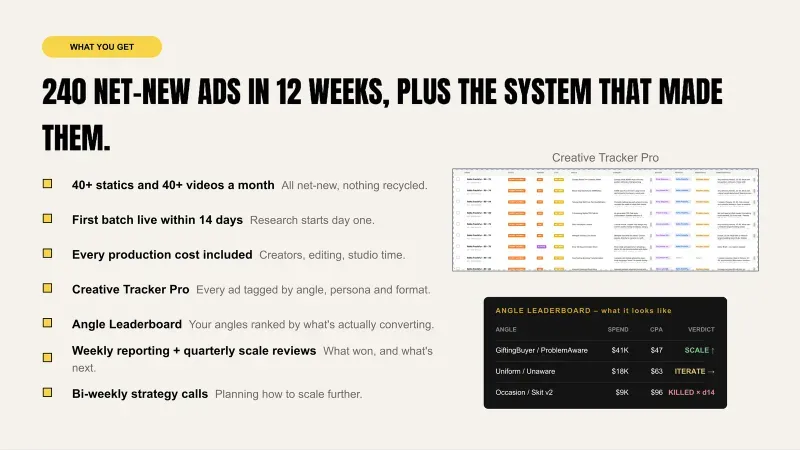 Creative Data System, slide 5 of 7