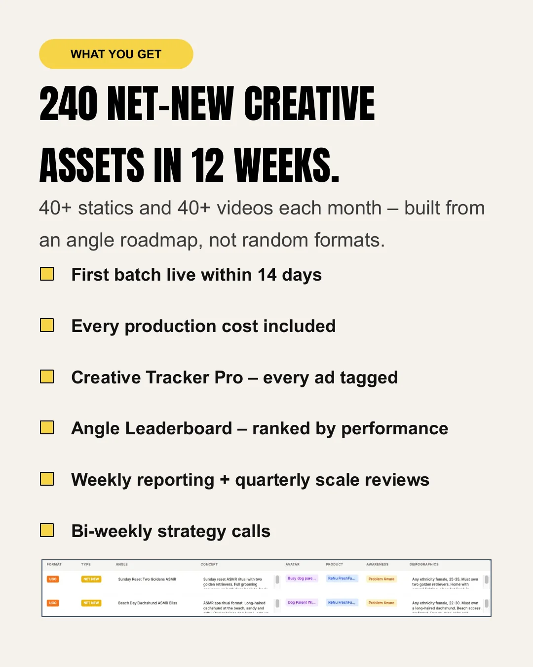 Creative Data System, slide 11 of 14