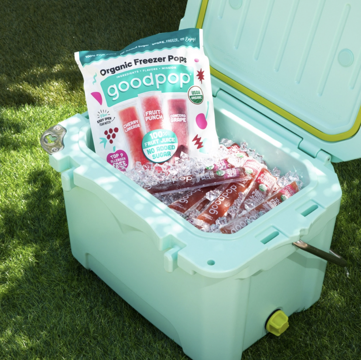 GoodPop freeze pops