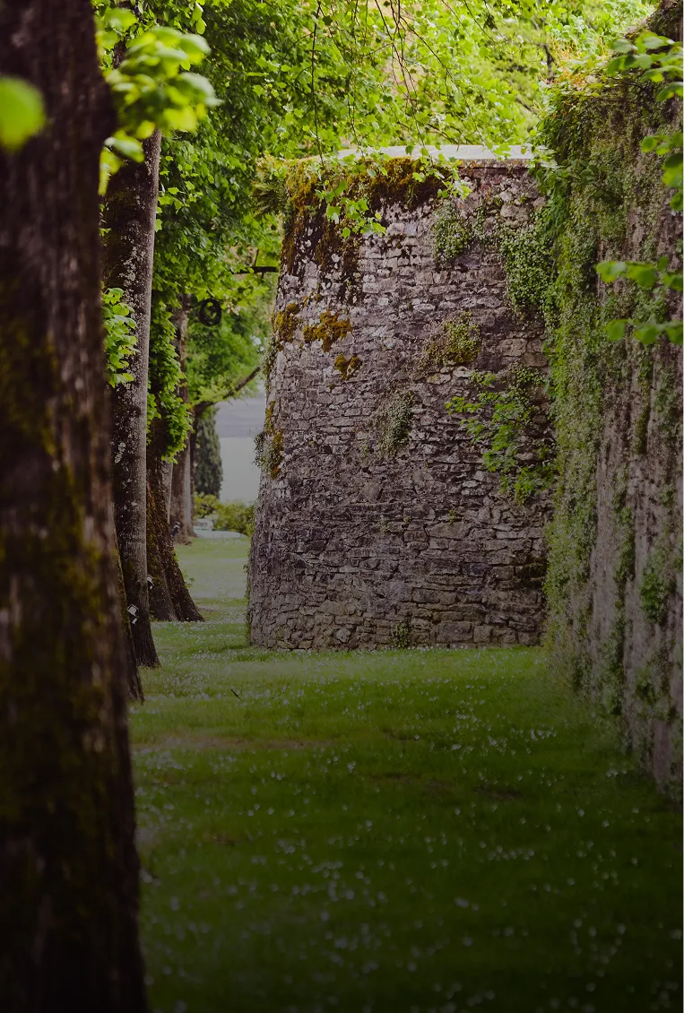 Allée verdoyante entre les ruines de murs en pierre

