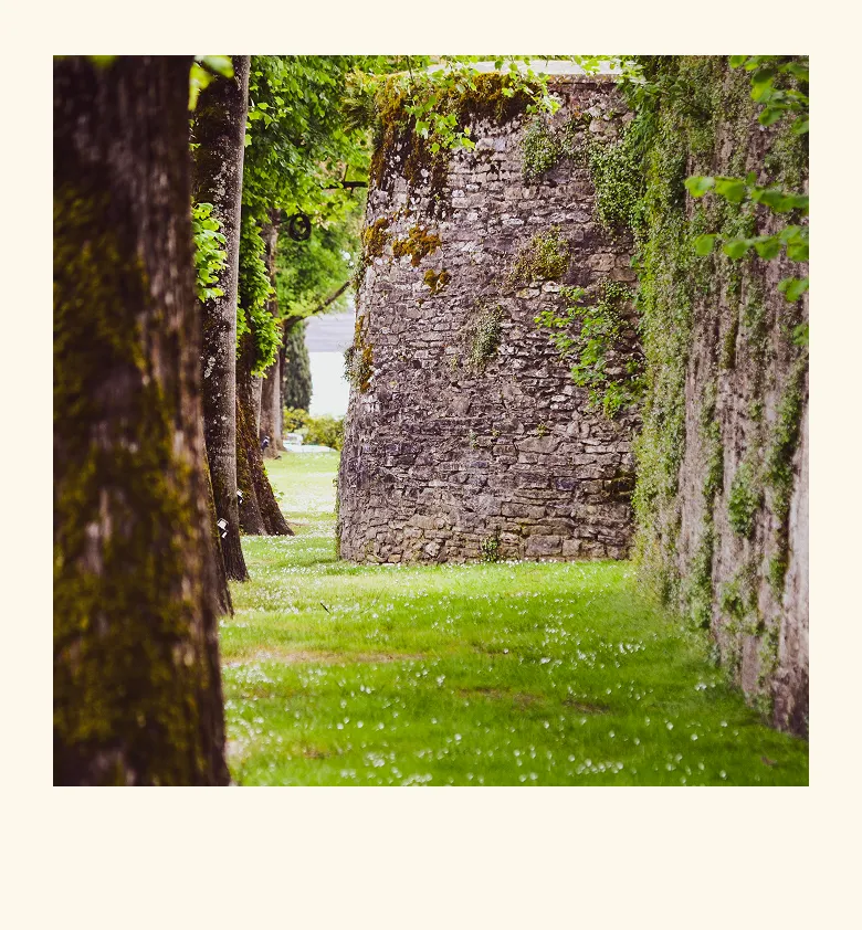 Vestiges de remparts anciens entourés de verdure

