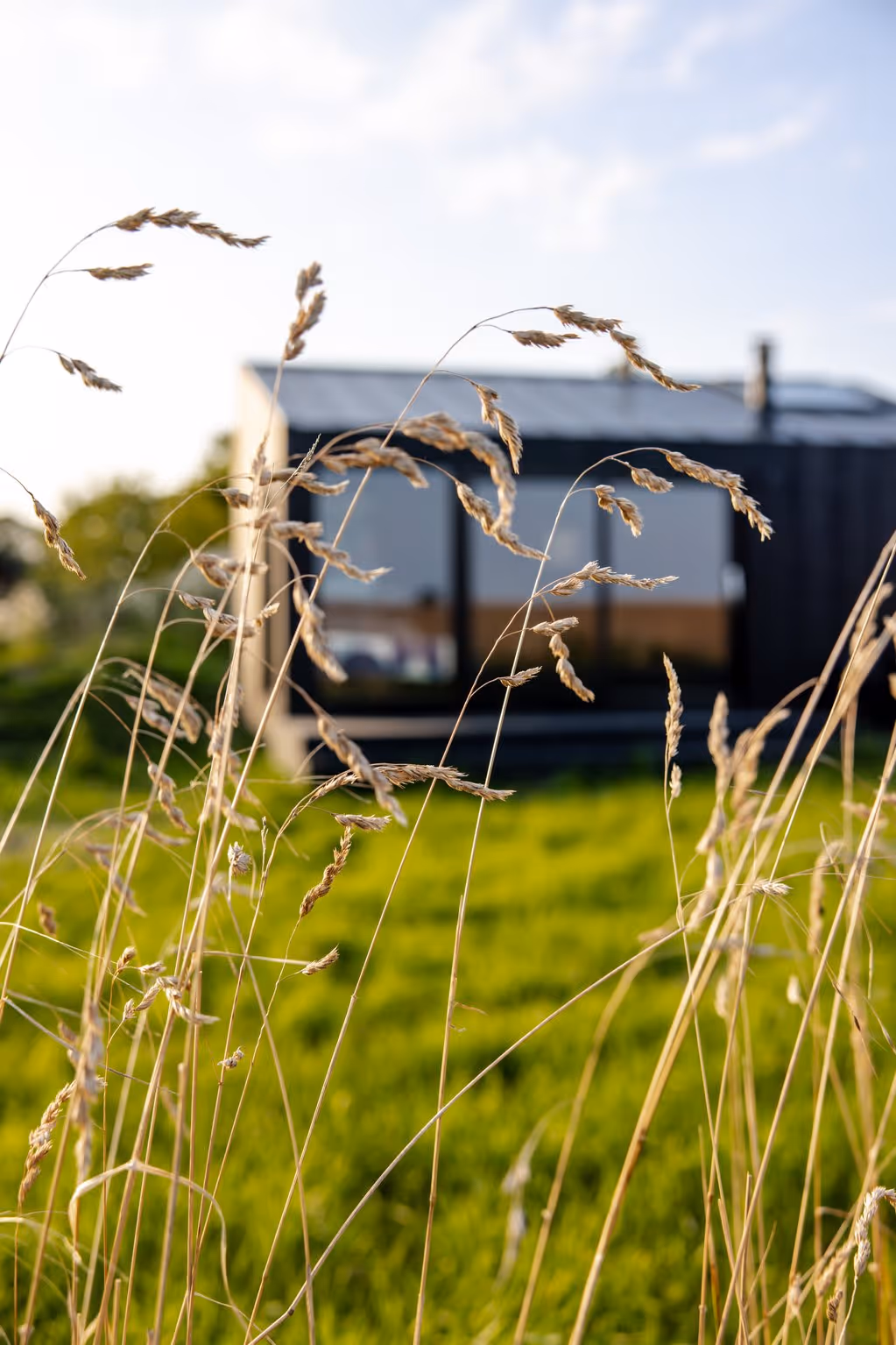Blick von Außen auf die NORI Cabin auf Rügen
