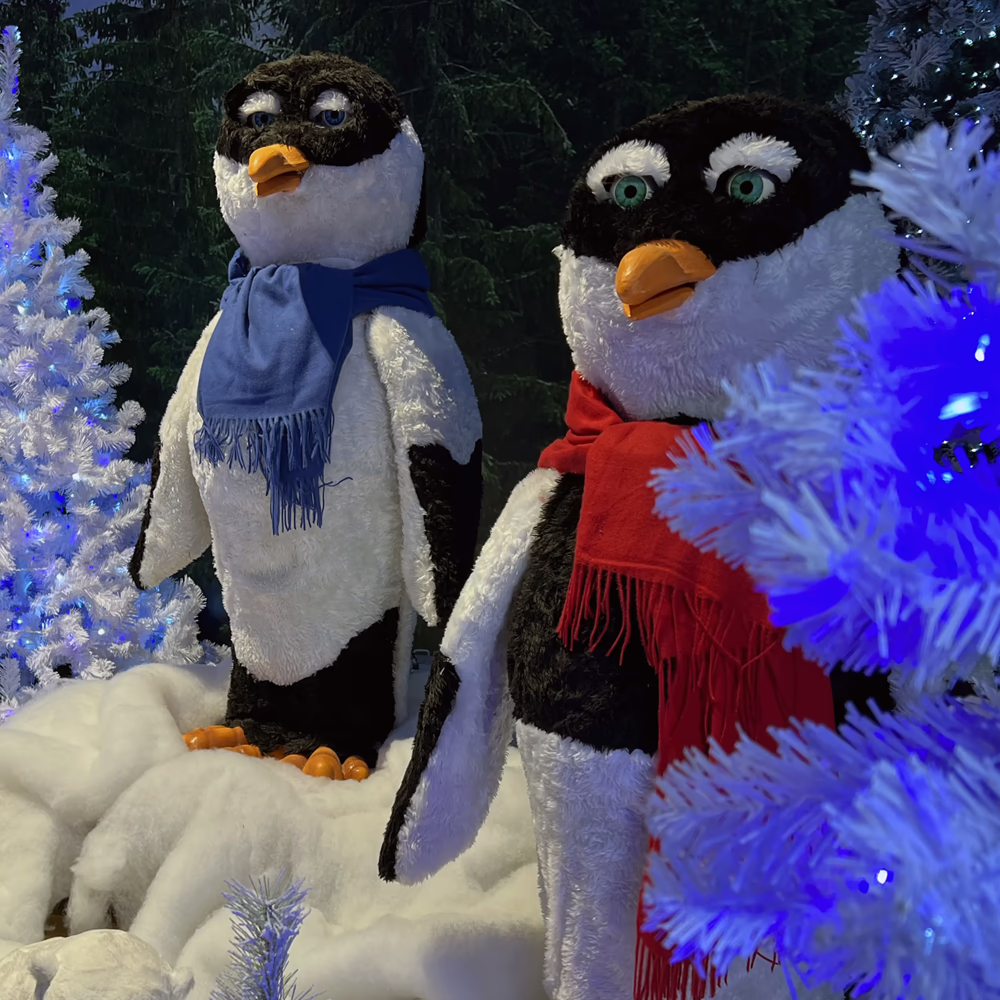 Tre pinguini animatronici su neve artificiale: pinguino a sinistra con sciarpa marrone, al centro con sciarpa blu, a destra con sciarpa rossa. Sfondo con alberi bianchi illuminati di blu e abeti scuri, ambiente invernale