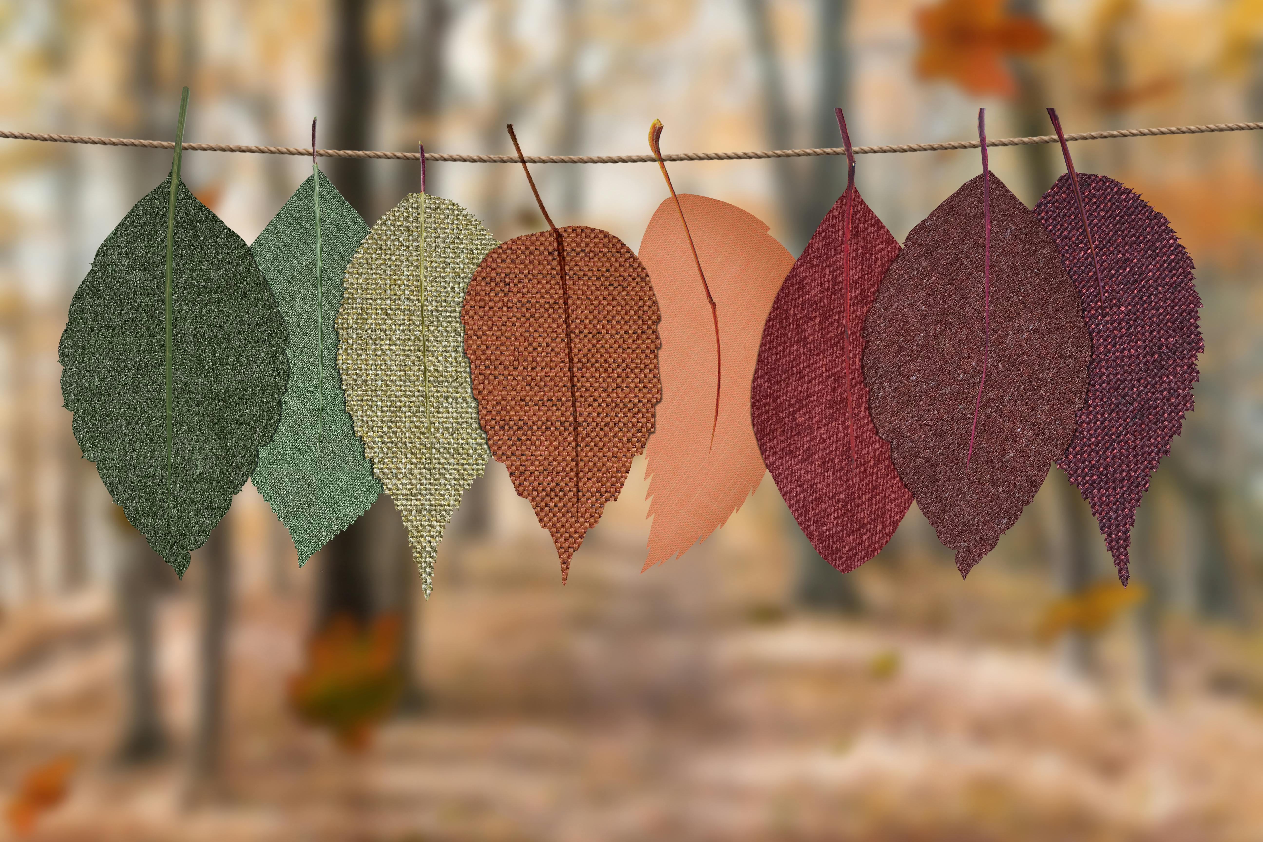 Huit feuilles en tissu de différentes couleurs suspendues sur une corde avec un fond de forêt flou.