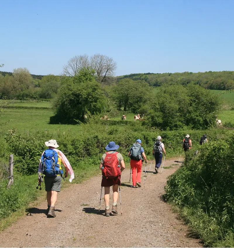 Wandelen op een vlak pad in de zomer