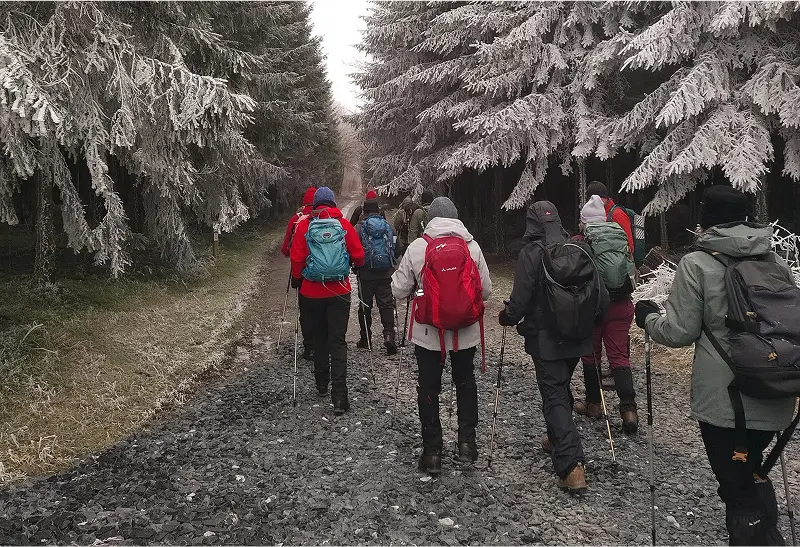 Wandelen door een bos met ijs op de bomen