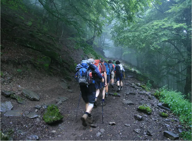 Wandelen op een heuvel in de Ardennen