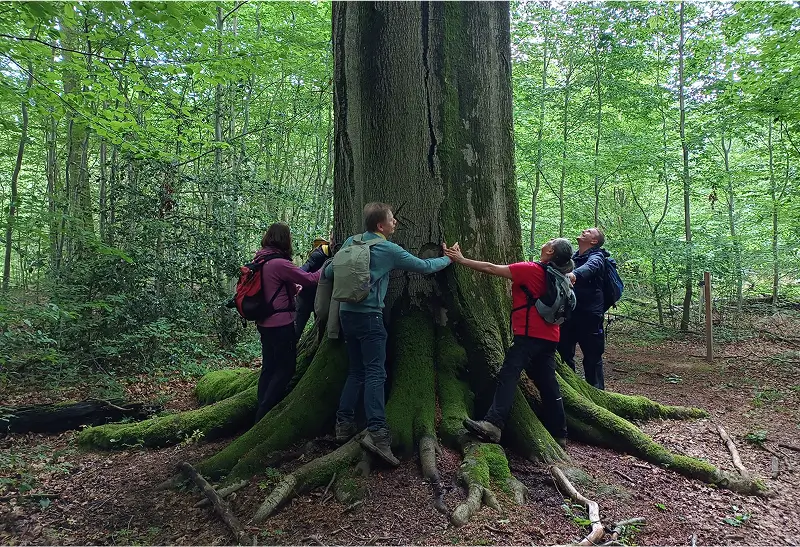 Groepsfoto van leden die een boom knuffelen