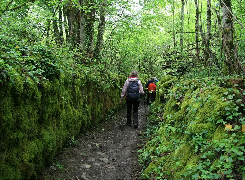 Wandelen door een loopgracht in de natuur