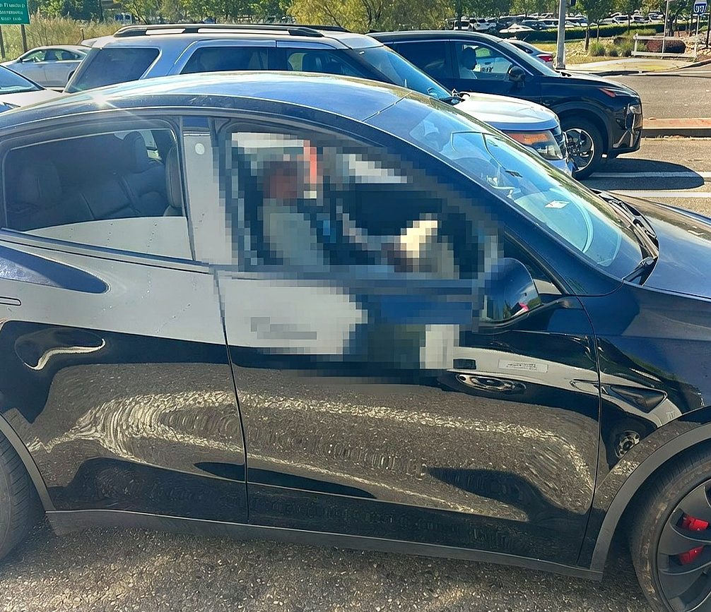 Арест пьяного водителя Tesla в Вакавилле, Калифорния