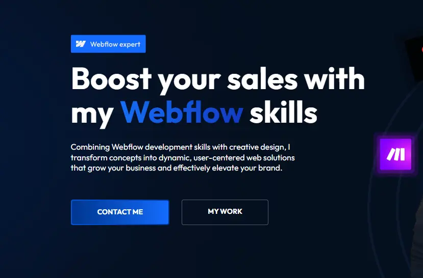 Portfolio Work Image