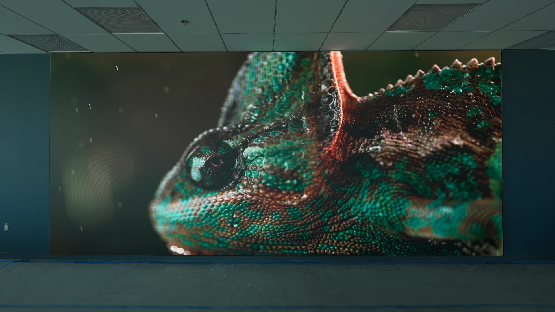 CMG Visuals LED wall displaying high resolution content at Education Service.