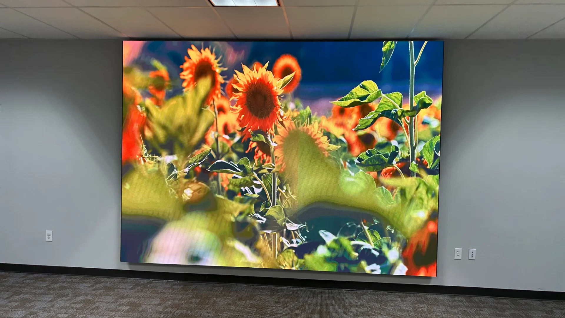 CMG Visuals indoor LED wall showing a bright, high-resolution image