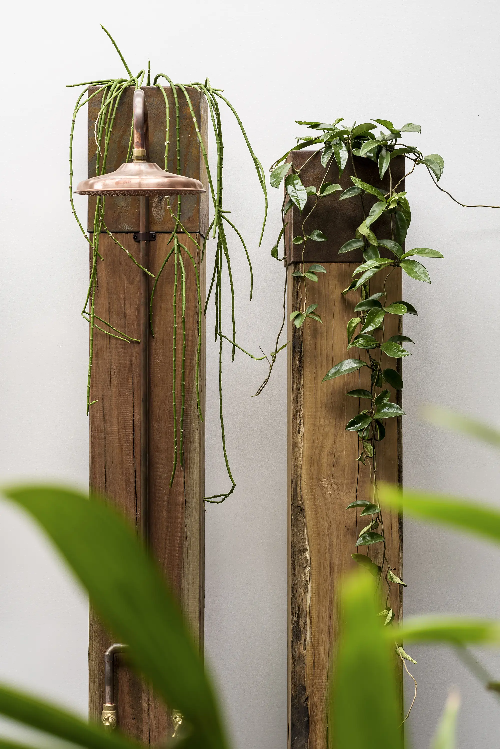 design-image