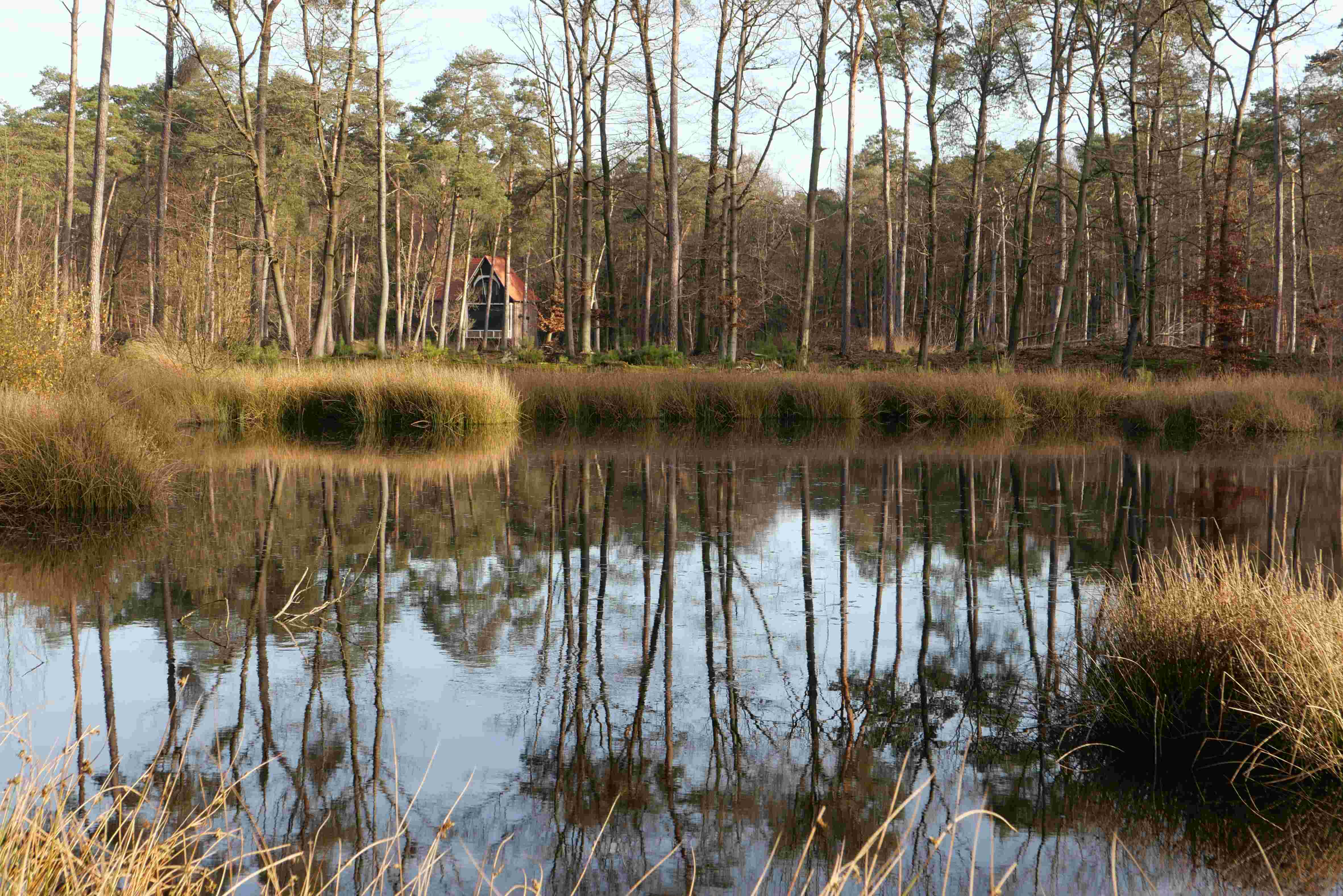 Hilvarenbeek (NL)