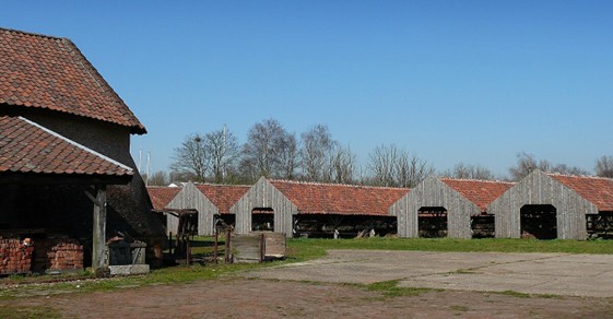 Noeveren