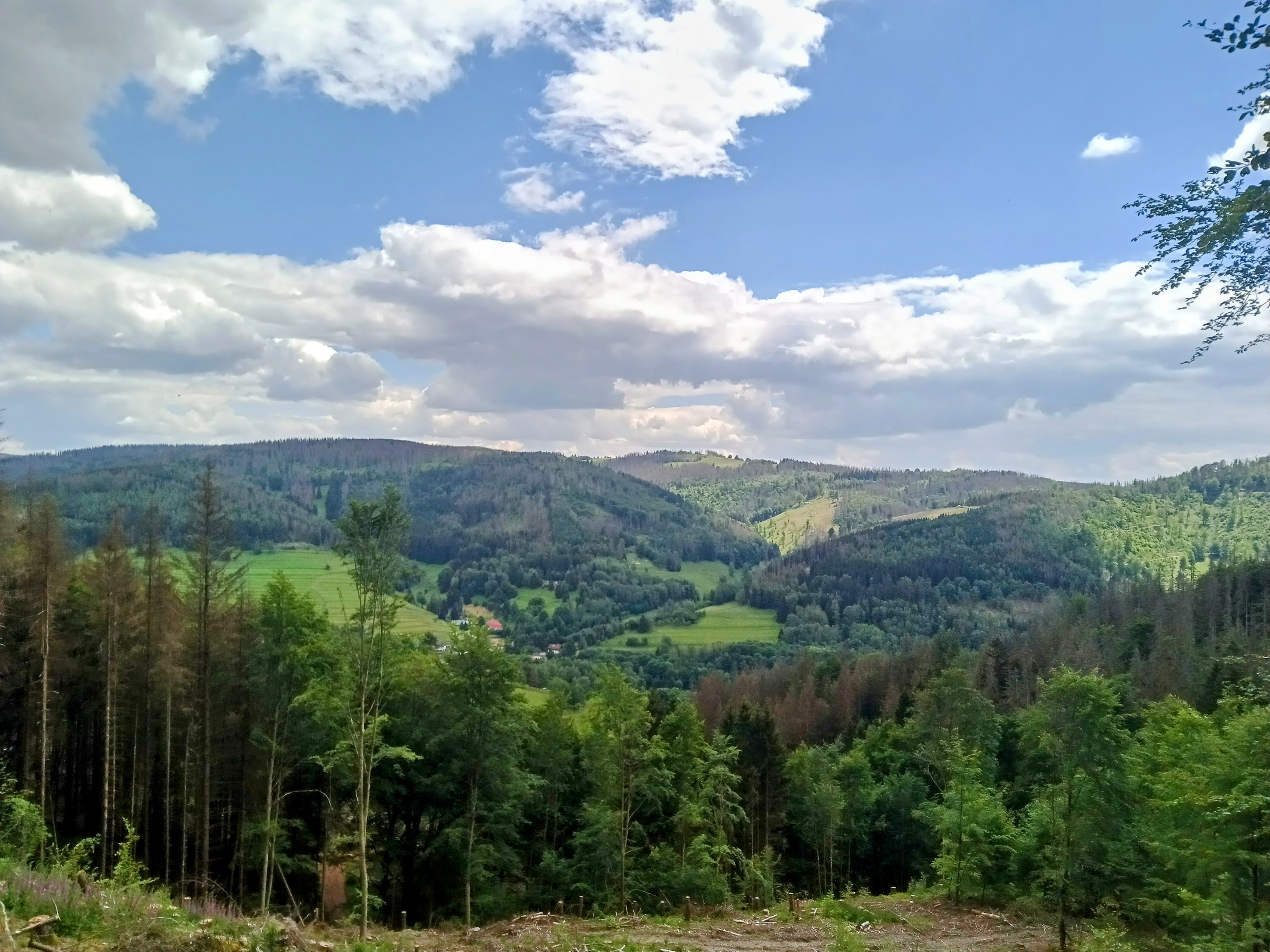Het zuidelijke Thüringer Wald (D)