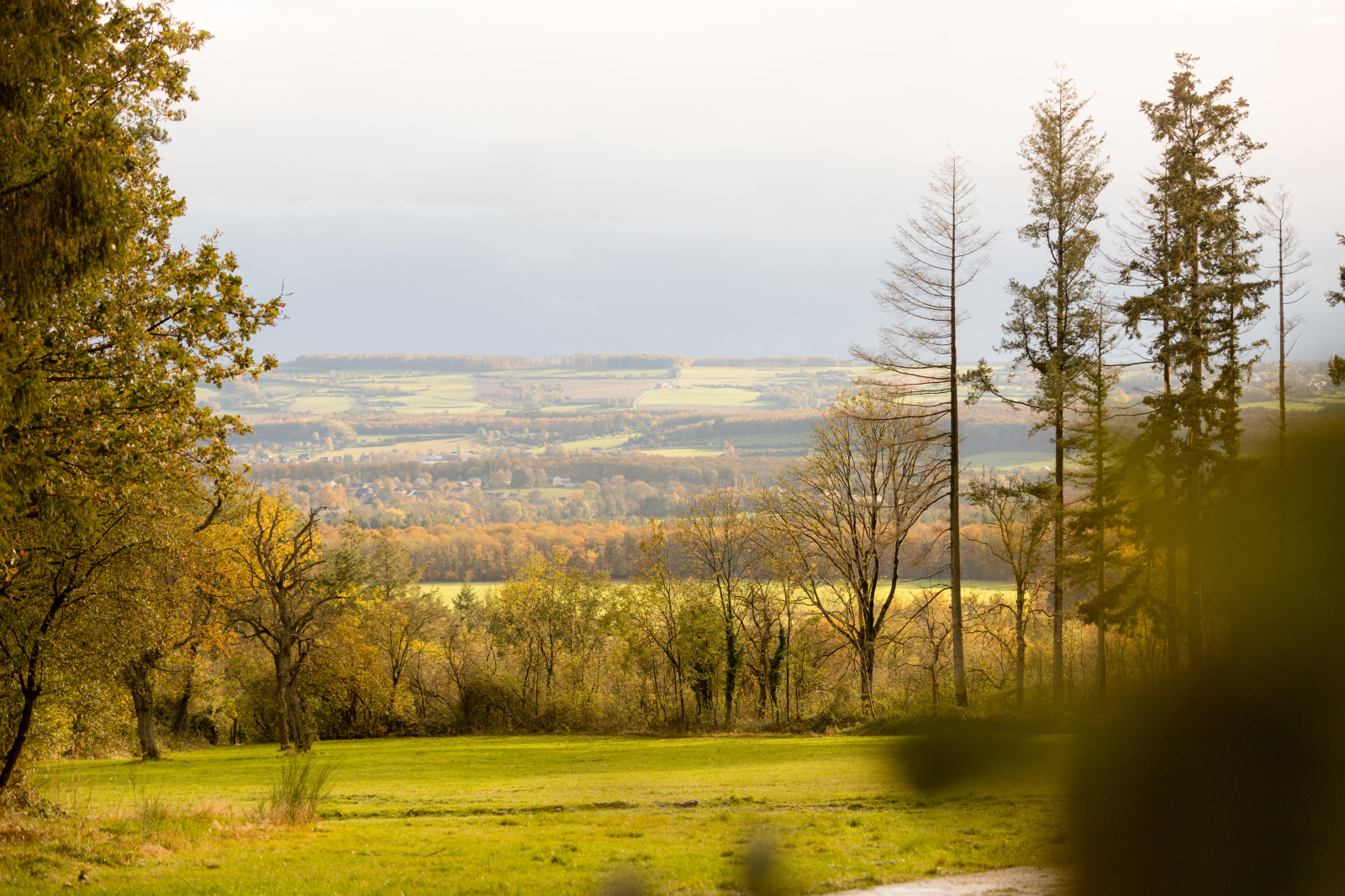 Mesnil - Sainte-Blaise