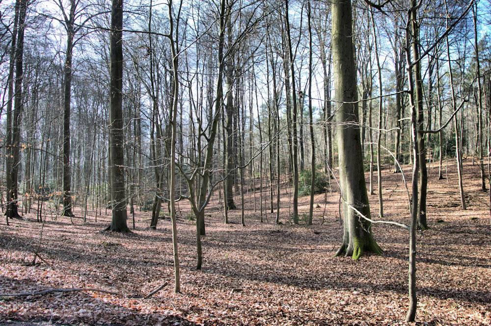 Bierbeek
