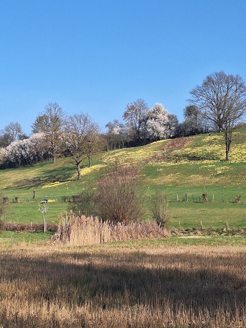 Gelinden