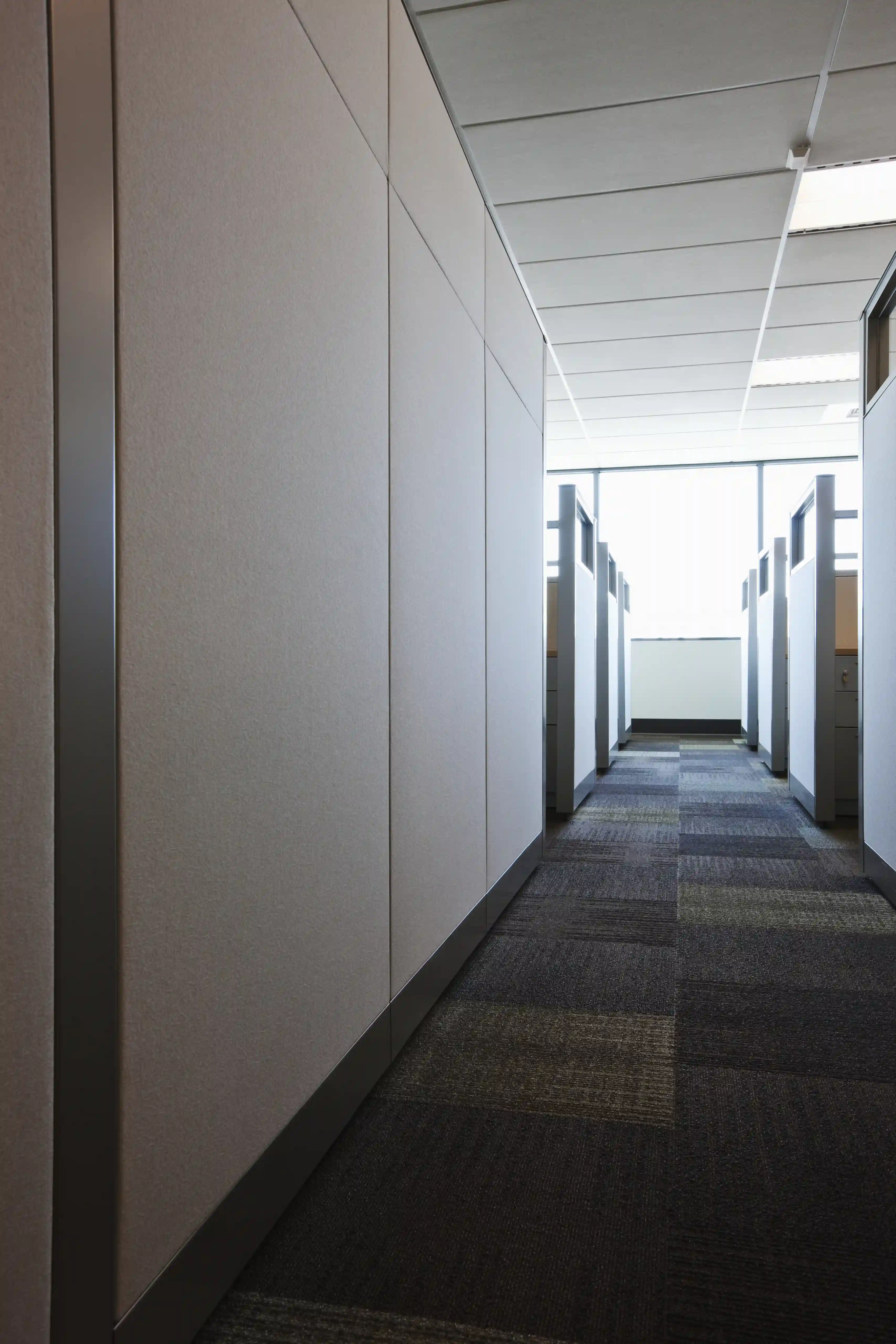 Empty office hallway lined with beige cubicle partitions and patterned carpet tiles