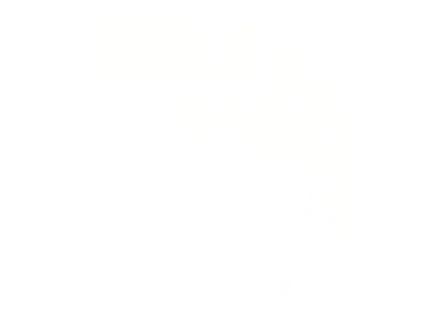 Tidal