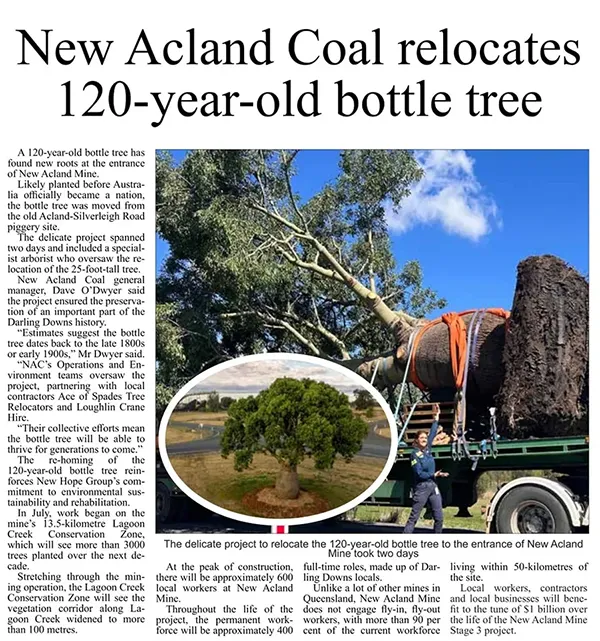 Newspaper article with Headline New Acland Coal relocates 120-year-old bottle tree