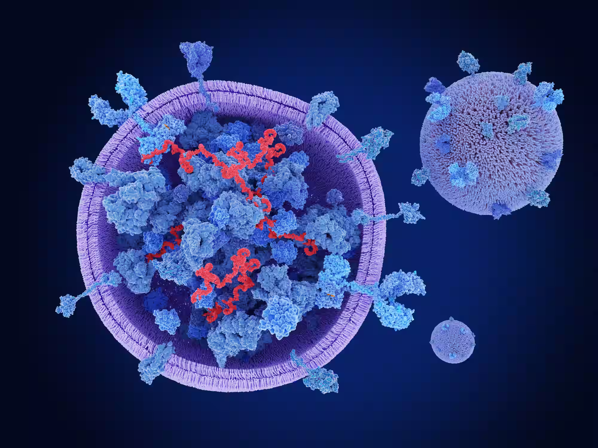 Between 2021 and 2022, Speyside partnered with a healthcare company in Brazil to analyze stakeholder discussions on CAR-T cell therapy and provide strategic recommendations for its future inclusion in the public health system (SUS). The project involved a literature review, legal and institutional analysis, and interviews with ten key stakeholders. This work resulted in nine strategic action areas, with specific short-, medium-, and long-term recommendations, including a multistakeholder workshop to address bottlenecks in oncologic care.