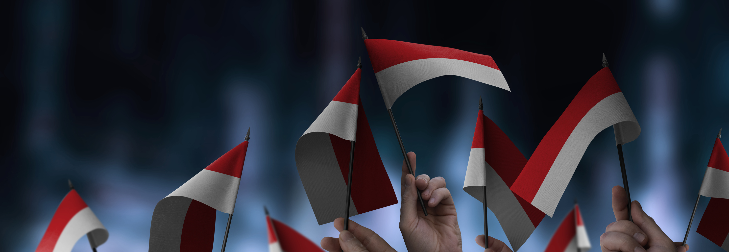 Since 28 August 2025, Indonesia has witnessed a wave of nationwide demonstrations, with significant unrest concentrated in Jakarta, where clashes broke out between security forces and protesters organized by the Coalition of Labor Unions and the Labor Party. 
