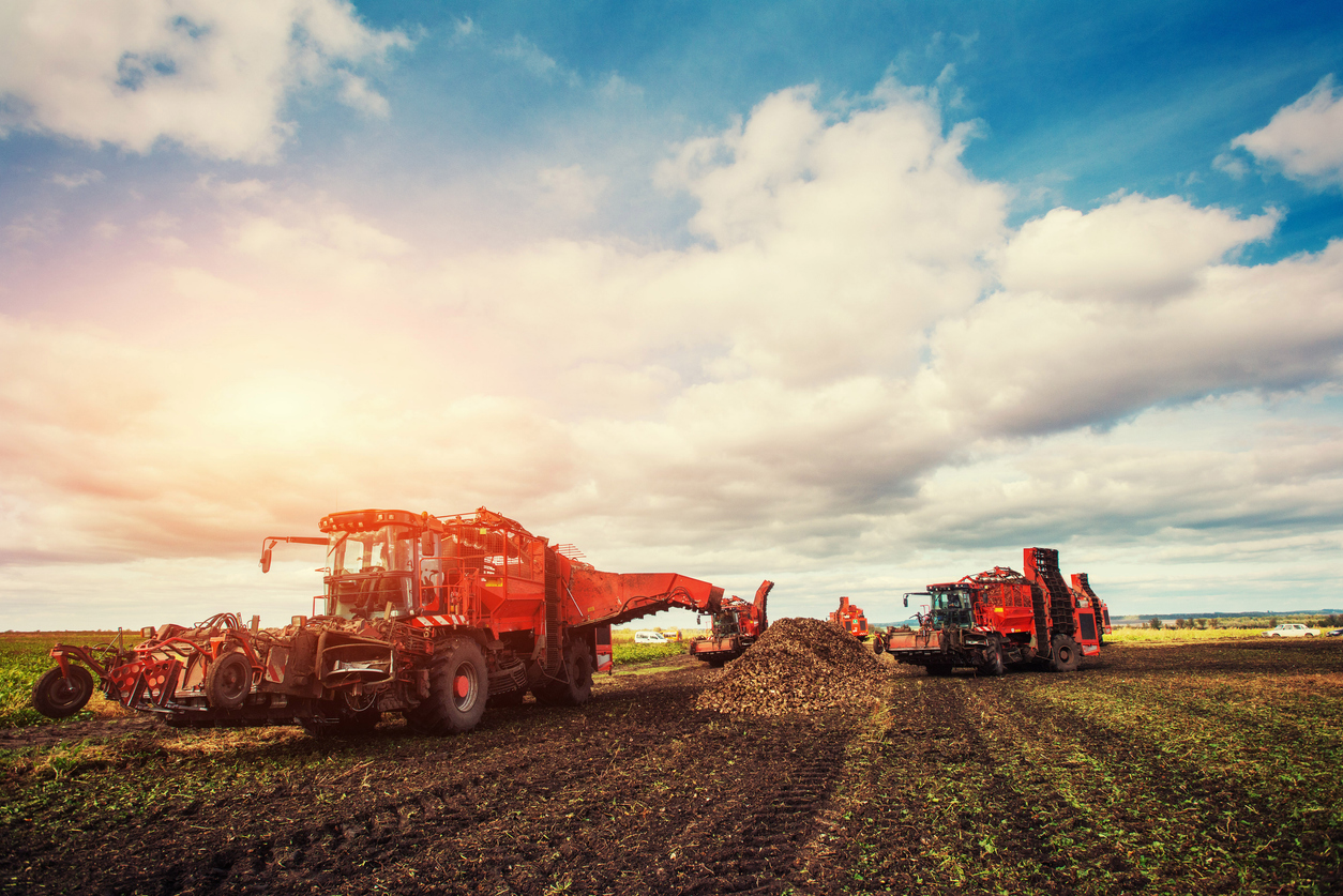 We have worked extensively from farm to fork issues ranging from land use and agricultural inputs, to seed and crop protection technologies and regulation around product formulation, packaging, labeling, marketing & sales. We also have significant and wide-ranging experience in the alcoholic beverages sector, providing support to clients on trade, tariffs and tax.