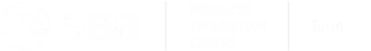 ESA BIC Turin logo