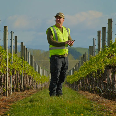 Case study - Paul White from Constellation Brands