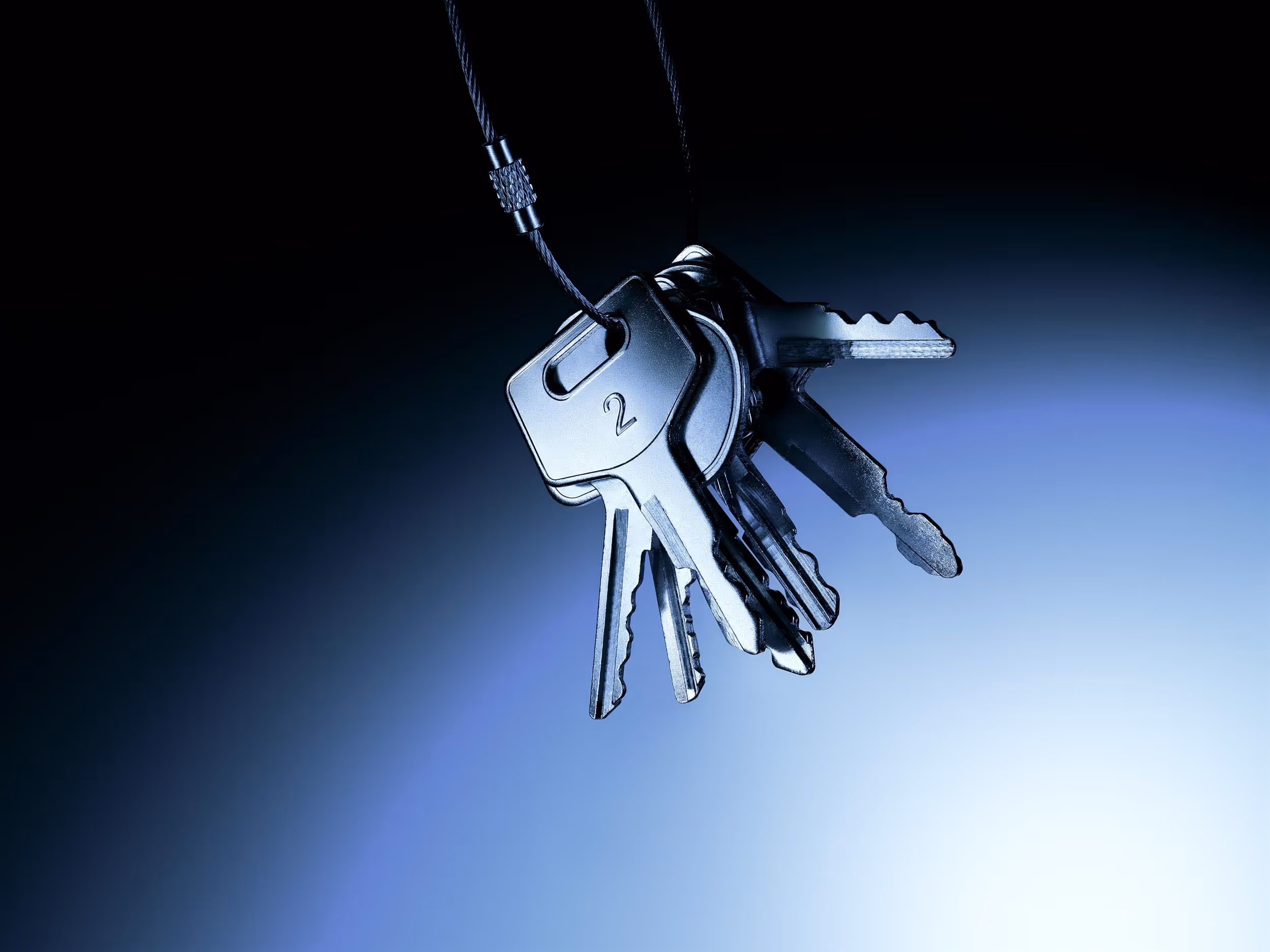 Collective Agency creating striking visuals for the asset manager ZweiWealth to enhance digital presence.