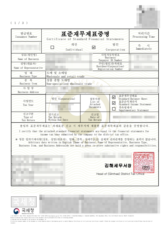 국세청 표준재무제표증명 샘플