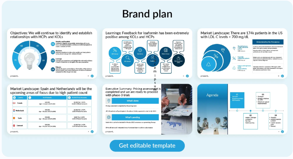 A screenshot of a brand planAI-generated content may be incorrect.