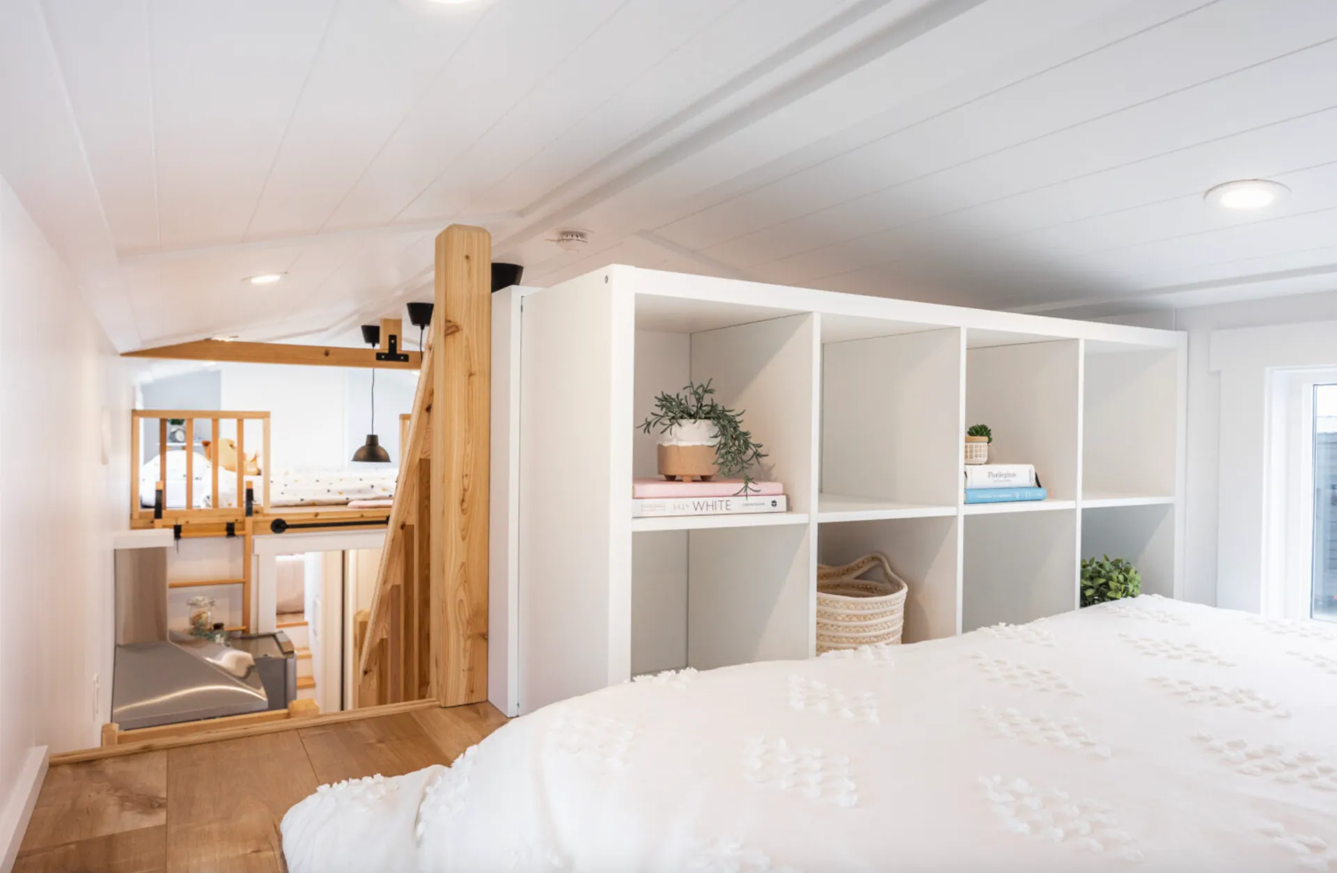Arctic — gallery photo 21