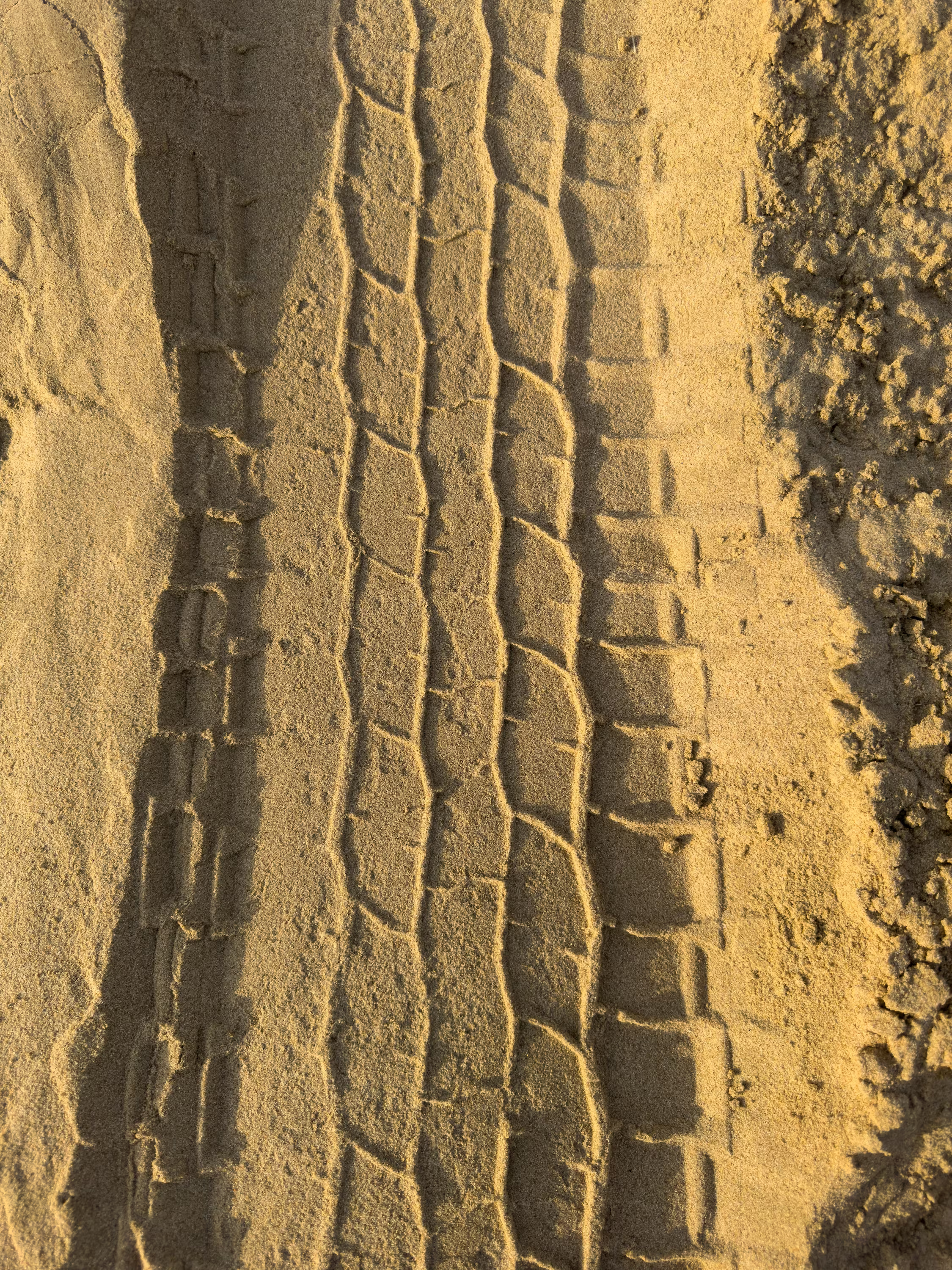 Tire tracks imprinted in sandy soil, showing distinct patterns and textures from the treads. The background features loose sand with various shades and minor surface irregularities.