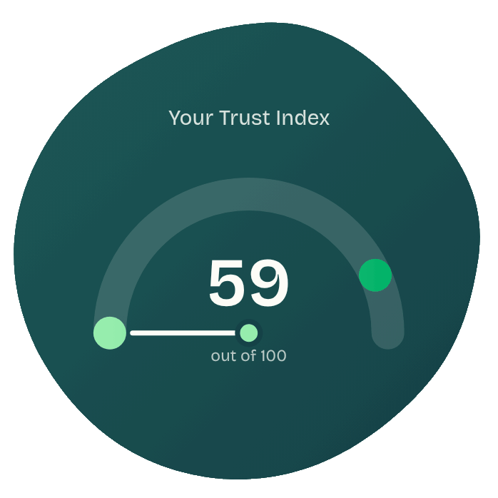 Example of a Trust Index score out of 100