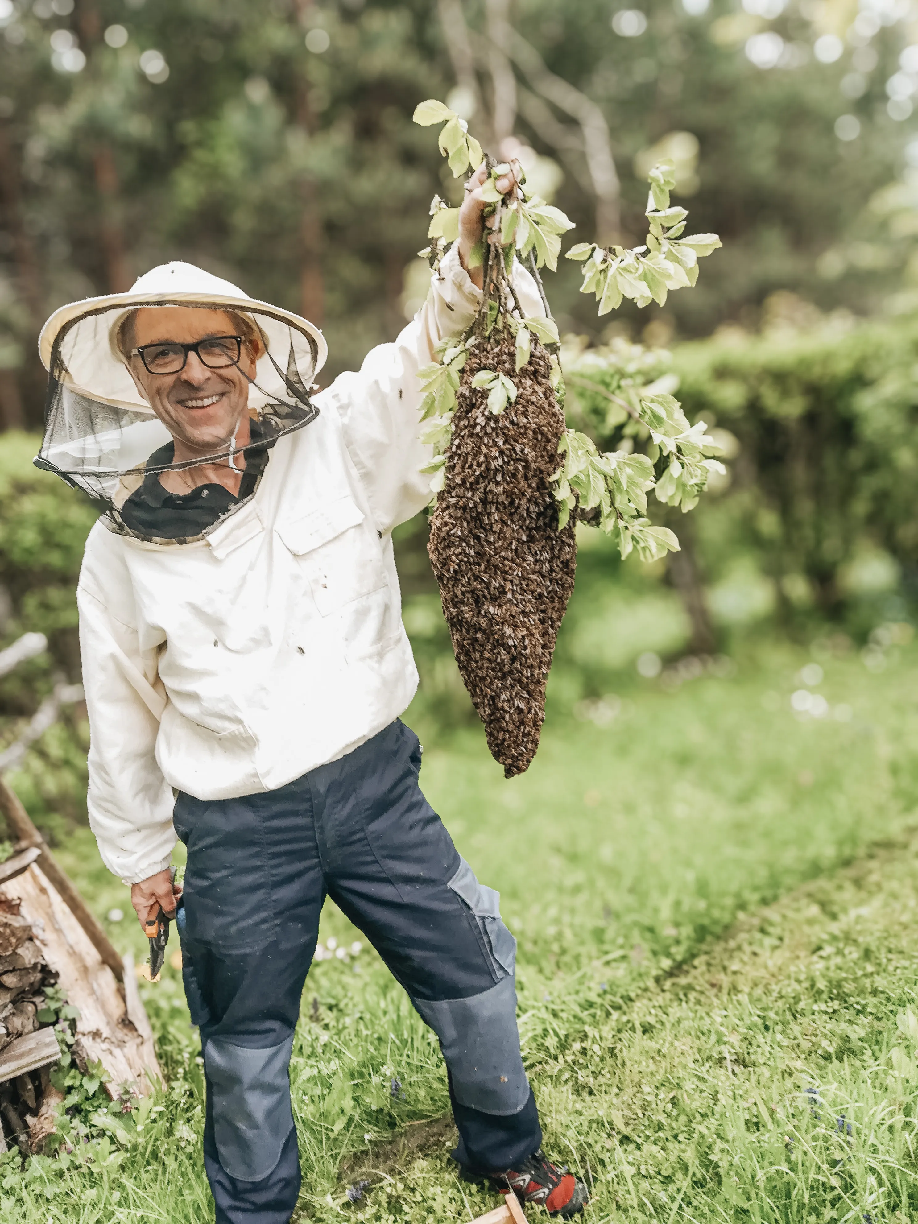 Imker mit Schutzkleidung hält einen Ast mit einem Bienenschwarm im Grünen.