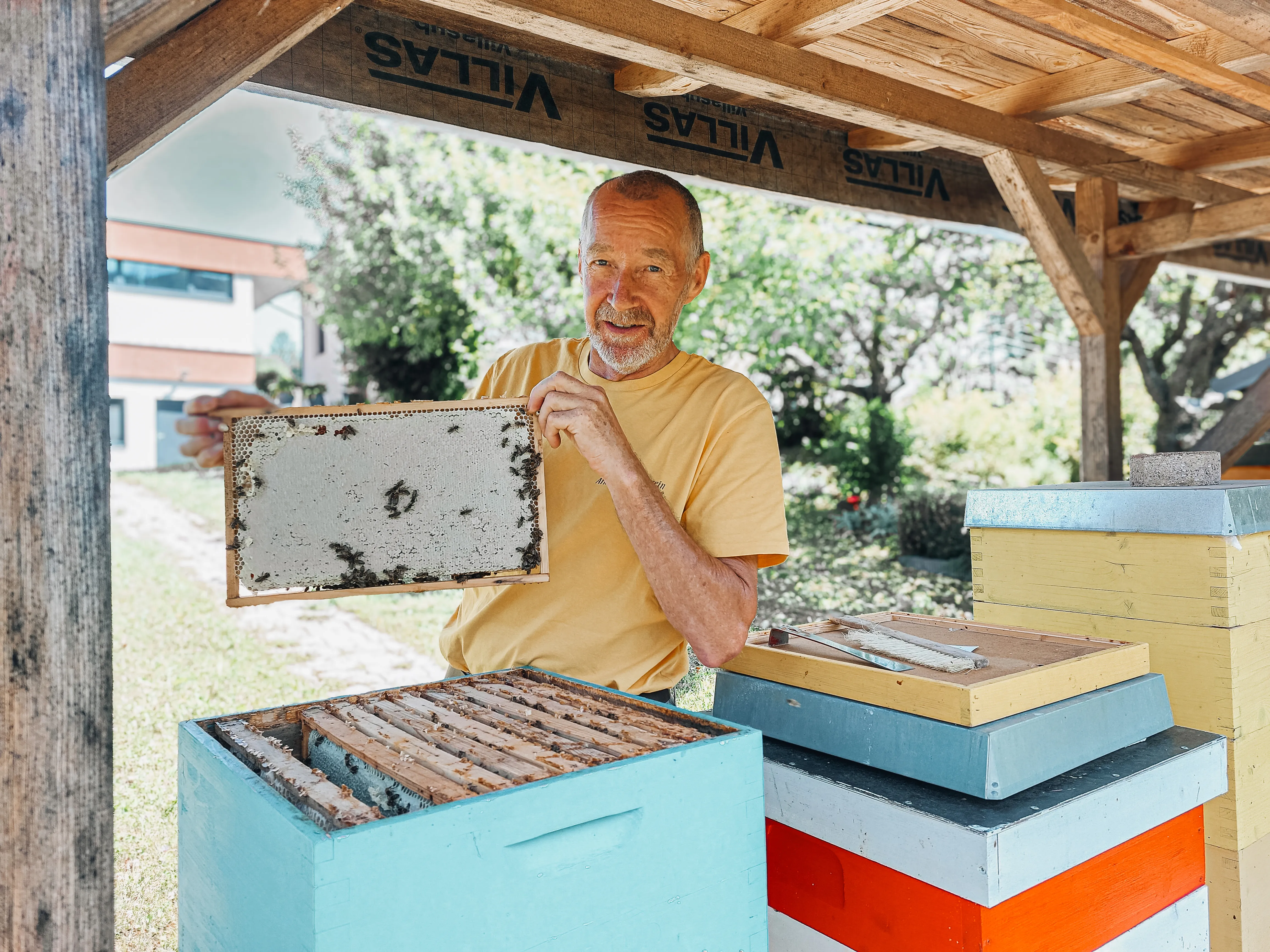 Mann hält einen mit Honig gefüllten Bienenwabenrahmen vor Bienenstöcken unter einem Holzunterstand.