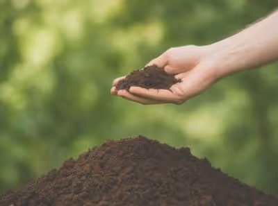 Une main qui contient de la terre au-dessus d'un petit tas de terre. Fond nature.