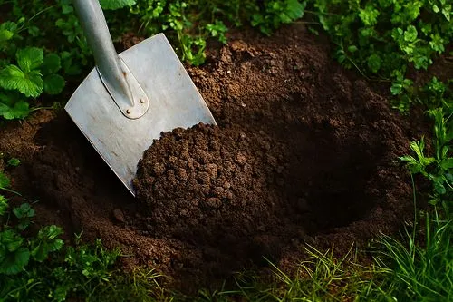 Gros plan sur une pelle qui creuse un trou dans de la terre