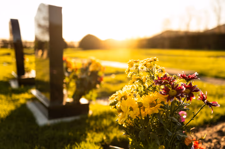 Cimetière en pleine nature, coloré, au crépuscule